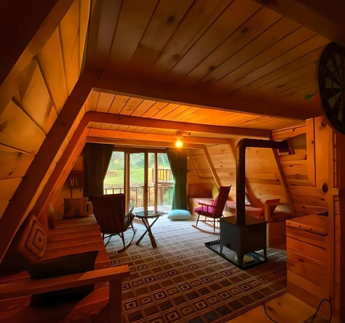 ترابزون Forest Home Uzungol 3*,